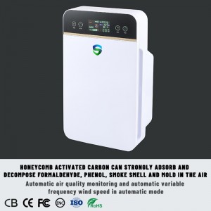 Healthy anion air purifier